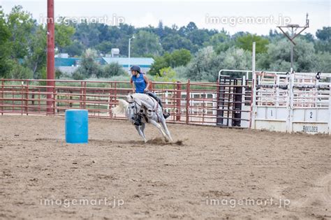 White horse running race around barrel at rodeo, Longmont, Colorado ...