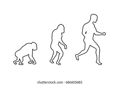 Human Evolution Process 3 Stages Darwins Stock Vector (Royalty Free) 686603683 | Shutterstock
