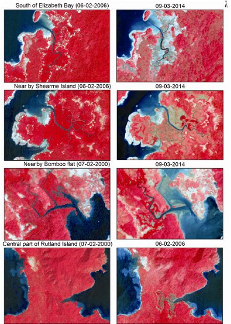 False colour composite satellite image chips showing forest cover... | Download Scientific Diagram