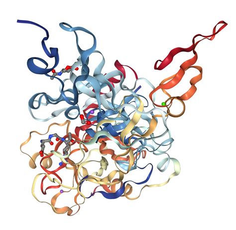 Thrombomodulin Protein Overview | Sino Biological