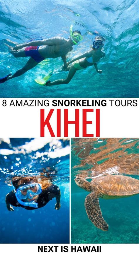 8 Kihei Snorkeling Tours Worth Your Money in 2023 | Maui snorkeling ...