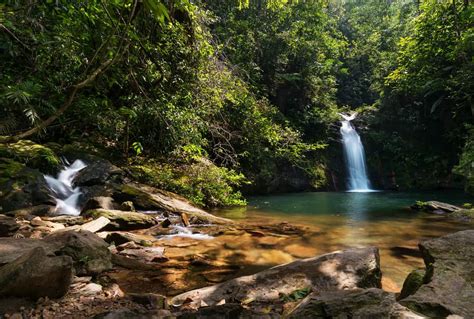 Cockscomb Basin Wildlife Sanctuary Tour | Belize Nature Tours