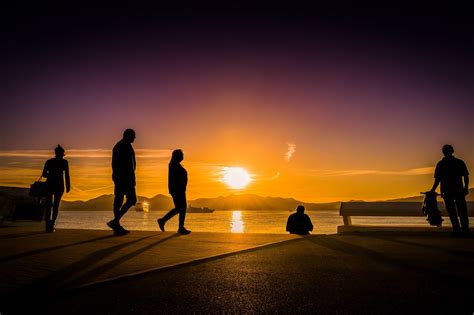 Free photo: Silhouette Photography of People Near Body of Water ...