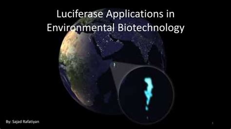 Luciferase application in environmental biotechnology | PPT | Free Download