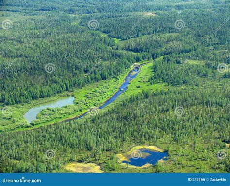 Siberian Taiga - Aerial View Royalty Free Stock Image - Image: 319166