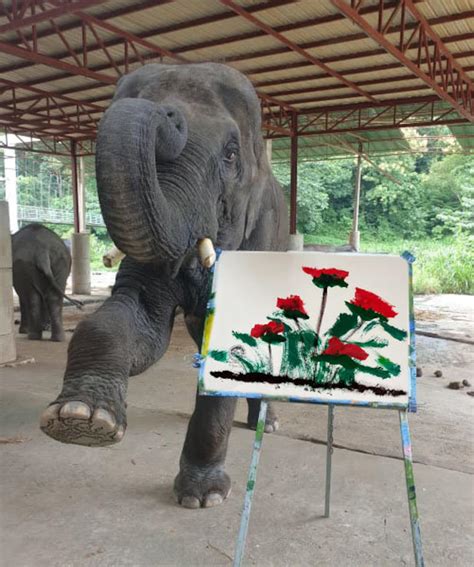 Trunk Made Painting Oil Painting Made by Thai Elephant - Etsy