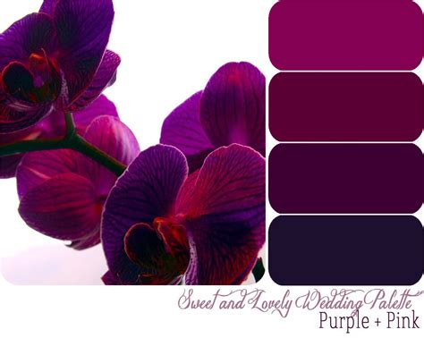 Wedding Color Palette / Purple + Pink | Color palette pink, Purple color palettes, Purple pink color