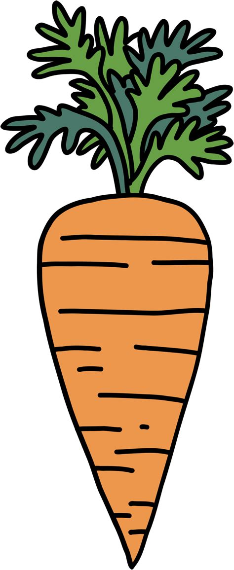 doodle freehand sketch drawing of carrot vegetable. 11651372 PNG