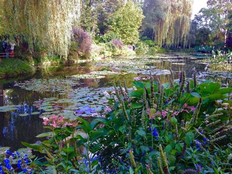 Claude Monet's garden. Giverny, France. : pics