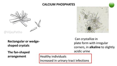 URINARY CRYSTALS - Pathology Made Simple