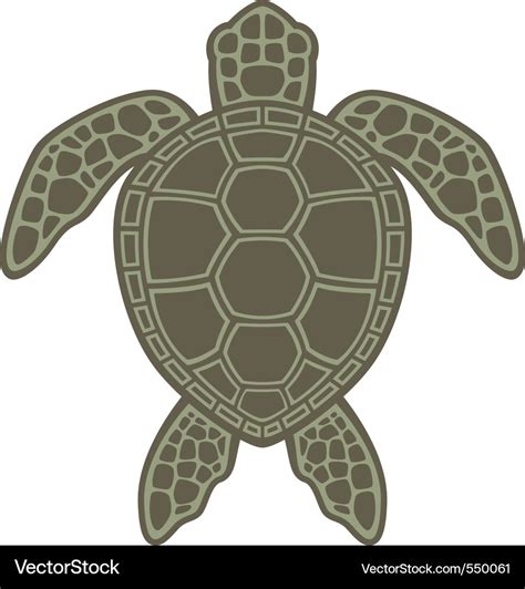 Sea turtle Royalty Free Vector Image - VectorStock