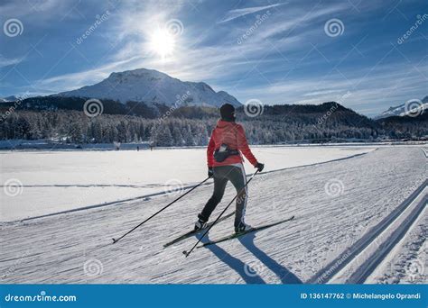 Cross-country Skiing of a Free Technique Woman. Skating Stock Photo ...