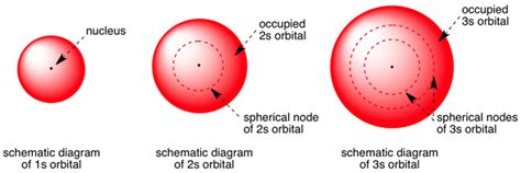 Shape of s-orbitals in 3D