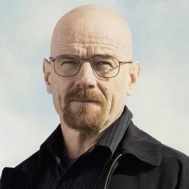 Walter White - Chemistry teacher - J. P. Wynne High School | LinkedIn