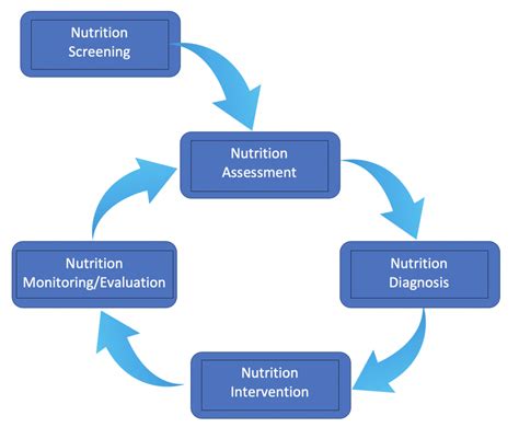 Nutrition Care Process: An Overview - Visual Veggies