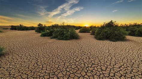 Consecuencias del Efecto Invernadero - TvAgro por Juan Gonzalo Angel ...