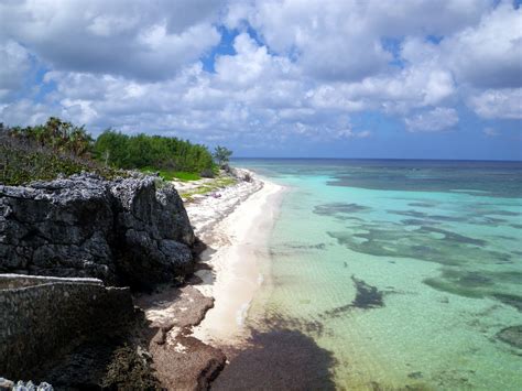 TESTUDO'S SNORKEL GUIDE: Cayman Off the Beaten Path: SNORKEL GUIDE ...