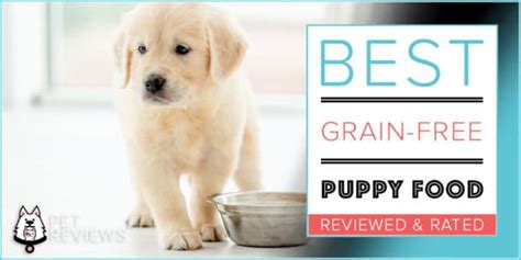 10 Best Grain Free Puppy Foods: Our Top Rated & Most Affordable Picks