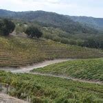 A Wine Lovers Guide to Paso – Top 15 ‘Must See’ Spots