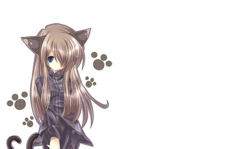 Cat Girl Nekomimi Art Girl Superb Anime Wallpapers - Anime Cat Girl ...