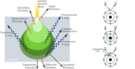 What Is An Electron Microscope? 4 Types Of EM - VacCoat