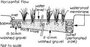 17 Best images about reed bed design on Pinterest | Recycling, Cold ...