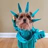 Lady Liberty Dog Costume | DIY Costumes Under $35