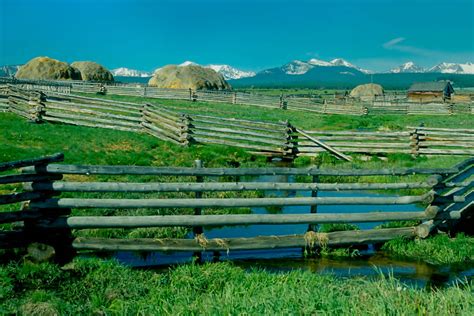 Big Hole Watershed Committee - Grizzly bear conservation and protection