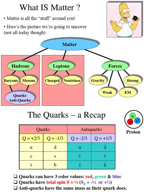 Quarks, Leptons and Force Intro | PDF | Quark | Neutrino