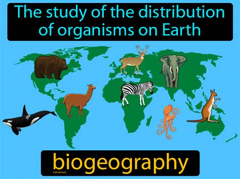 Biogeography Definition & Image | GameSmartz