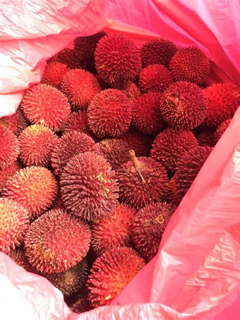 Free stock photo of Pulasan, tropical fruit