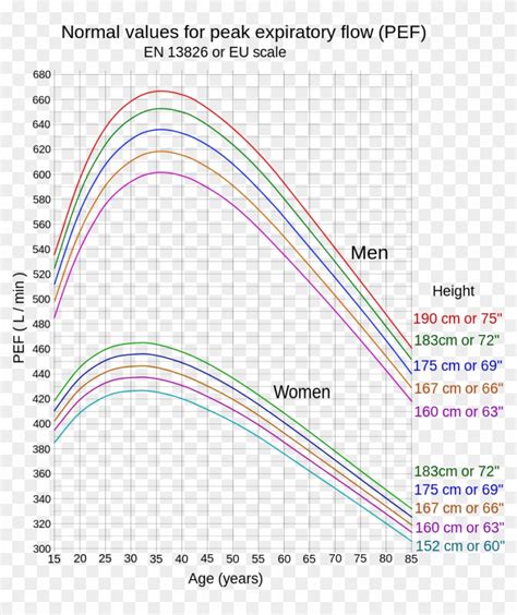 Peak Flow Normal Values Chart