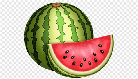 Watermelon Fruit Watermelon Cartoon Images - Denue Voconesto