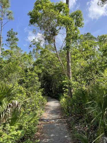 10 Best Hikes and Trails in Everglades National Park | AllTrails