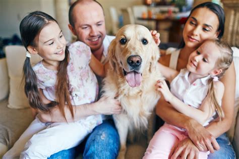 How To Make Your Dog Feel Like Family - Four Legged Guru