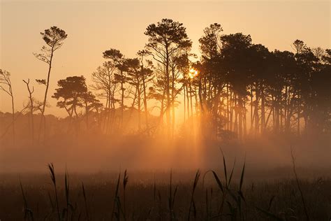 Hazy Summer Morning Sunrise Photograph by Kyle Lee - Pixels