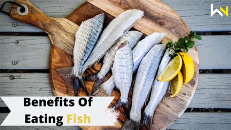 Benefits of eating fish | Must read | Food | Health | Recipe | WeirdNotion