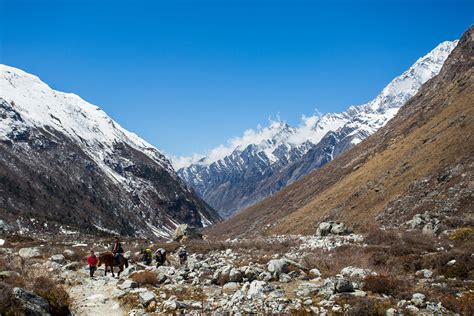 6 Treks Around the Langtang National Park in Nepal - Much Better ...