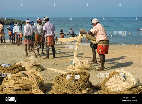 Fishermen pulling fishing nets dragnets Kovalam beach Kerala India Stock Photo - Alamy