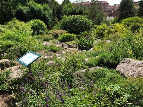 Tour of the Aarhus Botanical Garden in Denmark