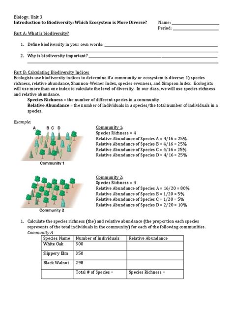 Biodiversity Worksheet | PDF | Species | Biodiversity