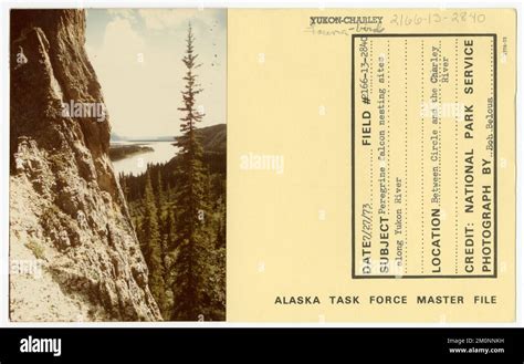 Peregrine falcon nesting sites along Yukon River. Alaska Task Force Photographs Stock Photo - Alamy