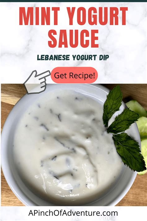 Mint Yogurt Sauce - Lebanese Yogurt Dip