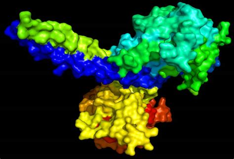 Kinesin Esthetics - Famous Proteins in Frames