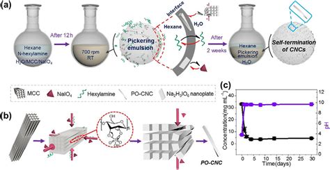 Synthesis of cellulose nanocrystals (PO-CNCs) within Pickering ...