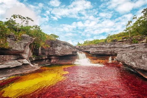 Caño Cristales River in Colombia 2024 - Rove.me