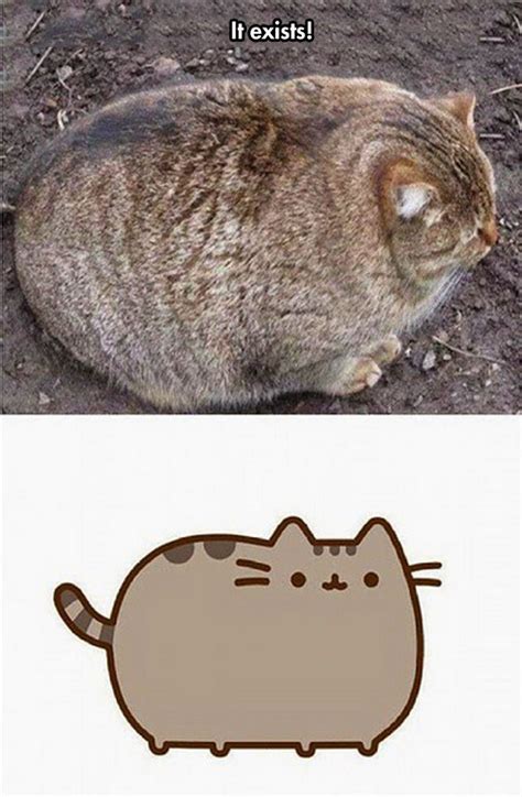 Pusheen Is Actually Real