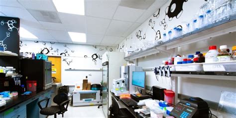 Wet Lab, Dry Lab & Office Space: The Difference and What You Need ...