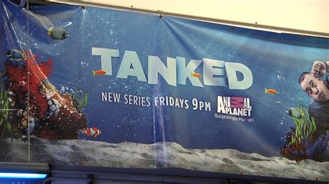 Tanked TV Show Vegas - Las Vegas Tours