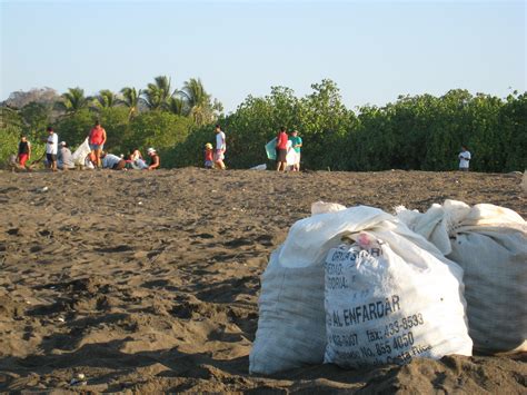 Sustainable Harvest of Sea Turtle Eggs